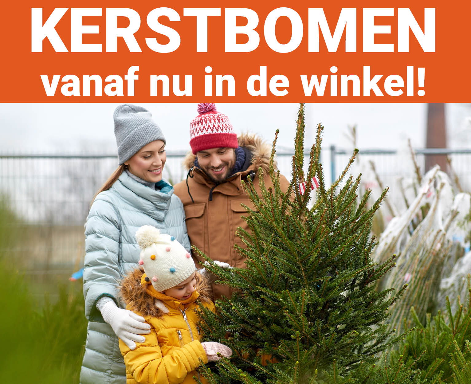 Kerstbomen nu in de winkel!