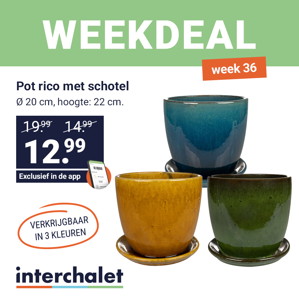weekdeal week 36